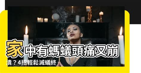 家中有螞蟻如何處理|螞蟻怎麼消滅？達人親身實證「滅蟻4招」：原來家裡。